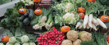 Regionales Gemüse. Foto: Umweltstation Augsburg