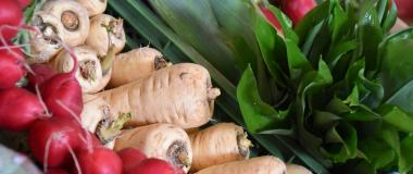 bio & frisch, bio, regional, Gemüse