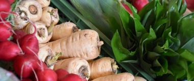 Radieschen, Pastinaken, Salat, regional, bio, unverpackt, Gemüse, Foto Cynthia Matuszewski