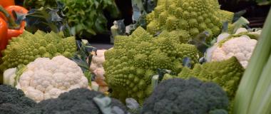 Gemüse, Foto: Cynthia Matuszewski 