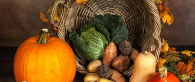 Foto: Sabrina Ripke_Pixabay, Kürbis, Pumpkin, Gemüse, Wintergemüse 