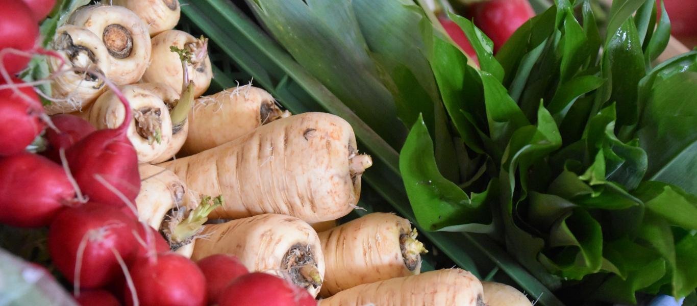 bio & frisch, bio, regional, Gemüse